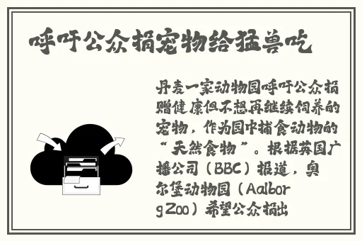 抓住王者招君的两只兔子
